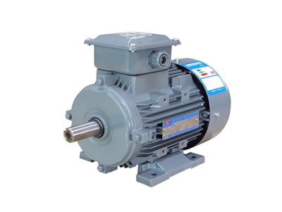 YXL系(xì)列高效率鋁機(jī)殼三相異步電(dian)動機