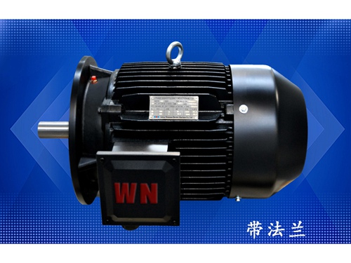 10 多級泵專用(yòng)電機（1）