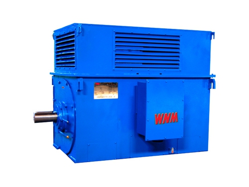 8 Y系(xi)列中型(xing)高壓高(gāo)效電動(dong)機
