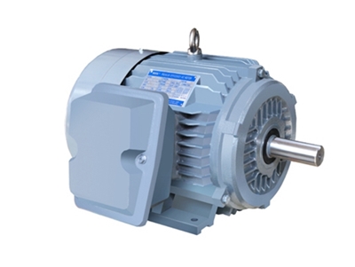 NE系列(lie)高效高轉矩三(sān)相異步電動機(jī)