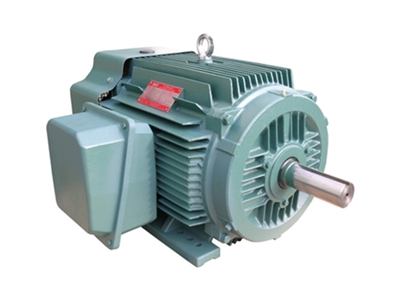 NEP系(xì)列超高效率三(sān)相異步電動機(ji)