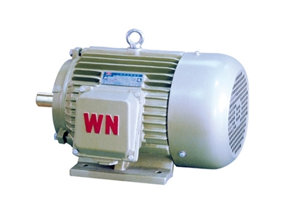 YH2系列高轉(zhuǎn)差率三相異(yì)步電動機