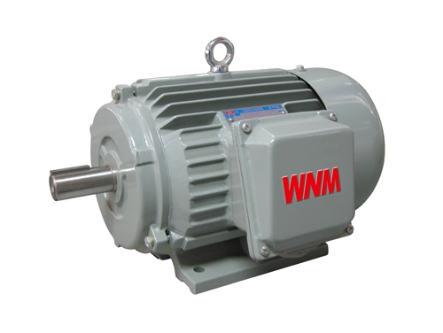 5 YJZ2系(xì)列機床專用三相(xiàng)異步電動機
