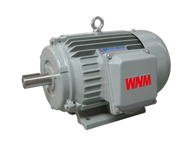 YJZ2系(xì)列機床專用(yong)三相異步電(diàn)動機
