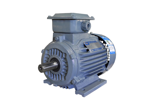 1 YX3系列超高效(xiào)三相異步電動(dòng)機