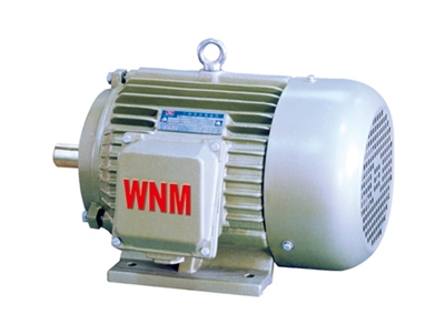 YD2系列變(bian)極多速(sù)三相異(yì)步電動(dòng)機