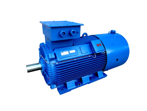 2 YLVF低(di)壓大功(gōng)率變頻(pin)電動機(ji)