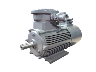 YBBP系(xì)列隔爆型(xing)變頻調速(su)三相異步(bu)電動機