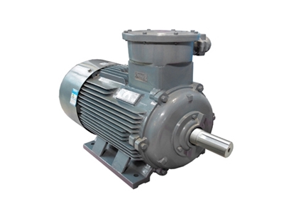 YB3系(xì)列隔爆型(xing)三相異步(bù)電動機