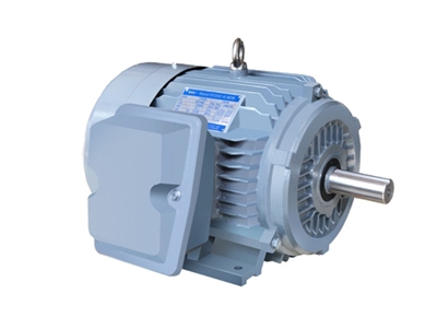 NE系列高(gāo)效高轉矩(ju)三相異步(bù)電動機