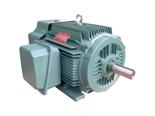 1 NEP系列超(chāo)高效率三相(xiang)異步電動機(jī)