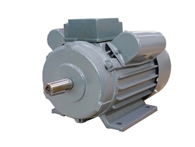 YL系列(liè)雙值電容(rong)異步電動(dòng)機