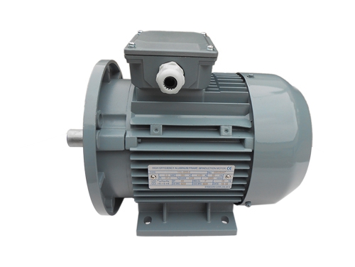 5 YXL系列開(kāi)門空壓機(ji)用電機